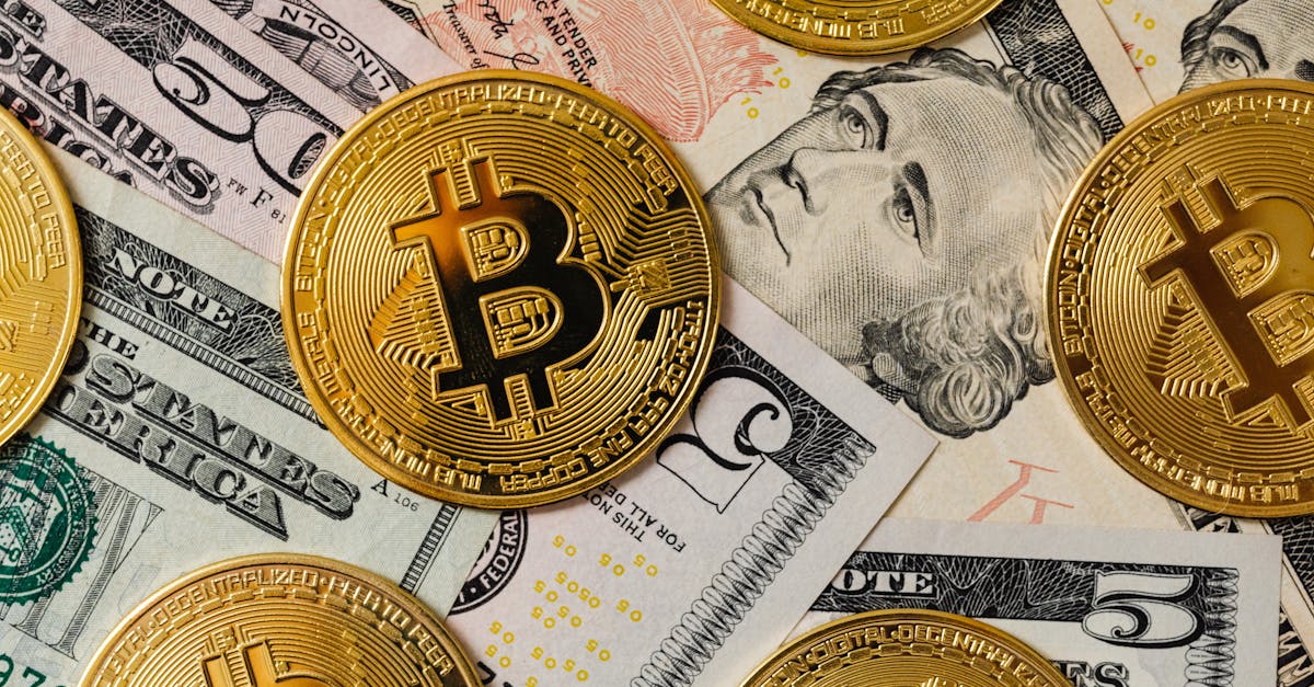 Bitcoin vale a pena para proteger seu patrimônio? Bitcoin vale a pena para proteger seu patrimônio?